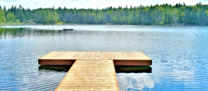 Lake Dock