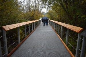 Swan Lake floating boardwalk